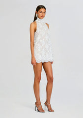 Banks Lace Embellished Dress