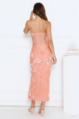 Style Too Good Strapless Mesh Maxi Dress Peach