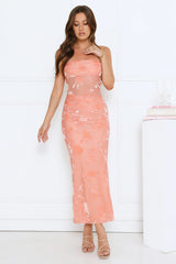 Style Too Good Strapless Mesh Maxi Dress Peach