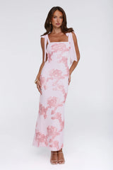 Dear Me From Me Mesh Maxi Dress Pink